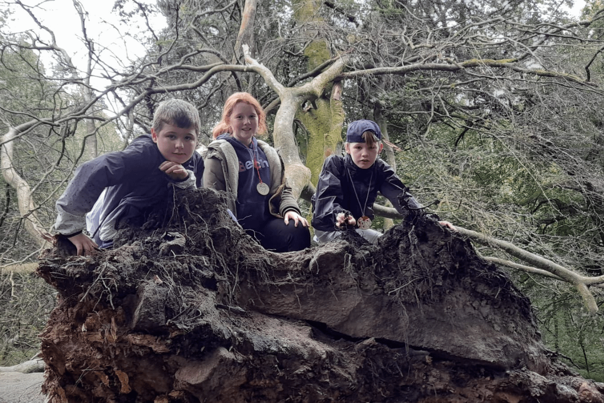 Three children stand on the top of a fallen tree.