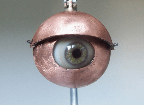 A brass metal eye ball looks directly at the viewer. The eye looks like a realistic human eye, in a grass metal eyeball.